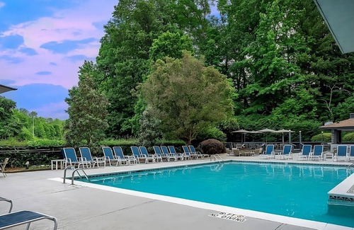 Executive Park Hotel | Enjoy a Hassle-Free Stay! 2 Contemporary Units, Pet-friendly, Parking, Pools!