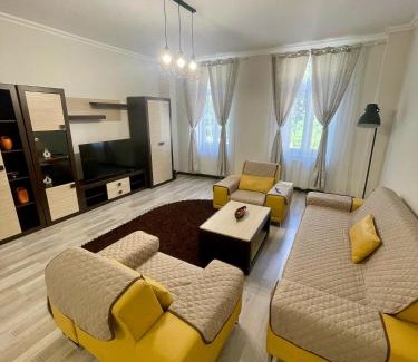 Cluj-Napoca Apartment | Enjoy Apartments - Spacious Retreat in our Villa