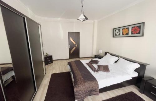 Cluj-Napoca Apartment | Enjoy Apartments - Spacious Retreat in our Villa