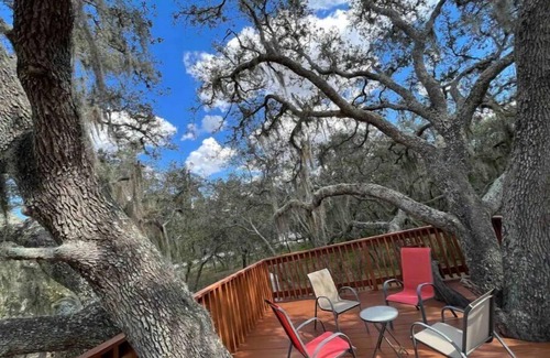 Fedhaven Cabin | Enjoy the sounds of nature when you stay in this unique place.n