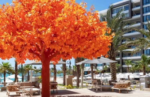 Juarez Resort | Enjoy your vacation stay in a 5 diamond hotel in Cabo San Lucas.
