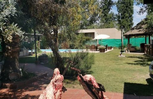Vistalba Apartment | ENTRE VIÑAS