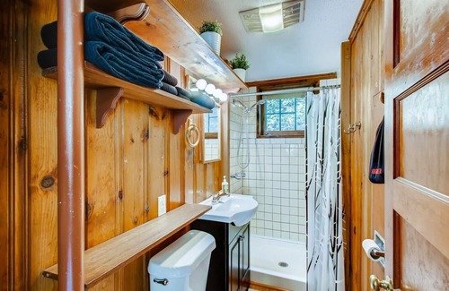 Idaho Springs Cabin | Epiphany Pines Waterfront Work & Play Cabin