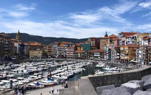 Bermeo Apartment | Erribera Bermeo