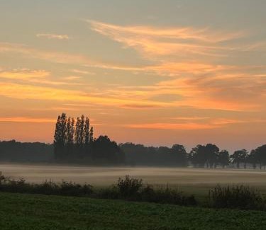 Vorden Bed & Breakfast | Erve Zonnehoeve B&B en Wijngaard