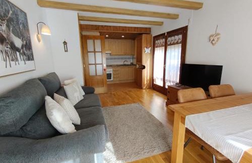 Vielha e Mijaran Apartment | ES CÒVES