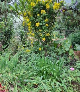Kanthalloor House | Escape Natural Farm Stay - Cave 2