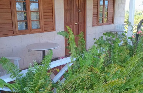 Little Bay House | Escape to Parakeet Hill: Where Luxury Meets Nature’s Tranquility