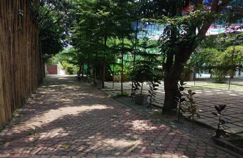 Tarlac Resort | Escape to Wellness Bliss Resort: Your Ultimate Oasis of Relaxation and Renewal!