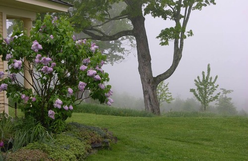 Lyndon Center Cottage | Escape to your cozy 1-bedroom cottage near Kingdom Trails