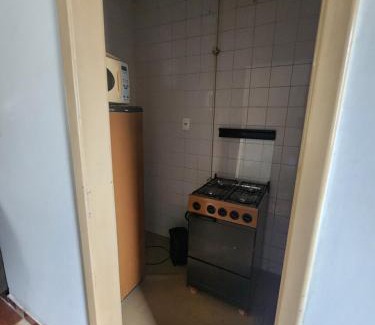 Centro Apartment | Escuro claro