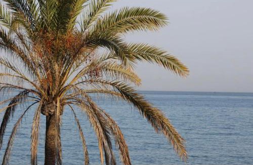 Fuengirola House | Espectacular casa en la playa