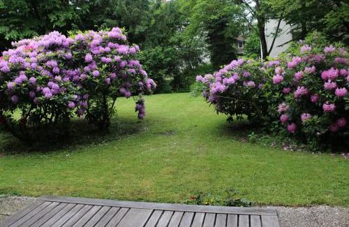 Suedviertel Apartment | Essen City quiet flat with terrace and garden