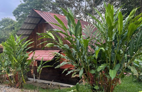 Cotundo Cabin | Excellent accommodation in wooden cabins equipped with with all services