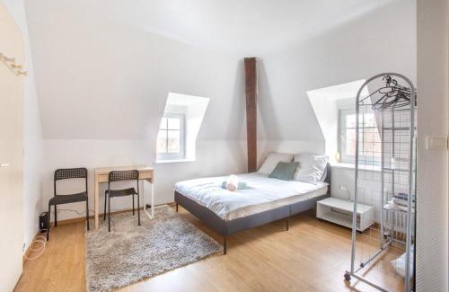 Mulhouse Apartment | Exceptionnels Studio, Maison de Maître, Parking Gratuit sur Place, MULHOUSE CENTRE