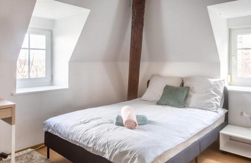 Mulhouse Apartment | Exceptionnels Studio, Maison de Maître, Parking Gratuit sur Place, MULHOUSE CENTRE