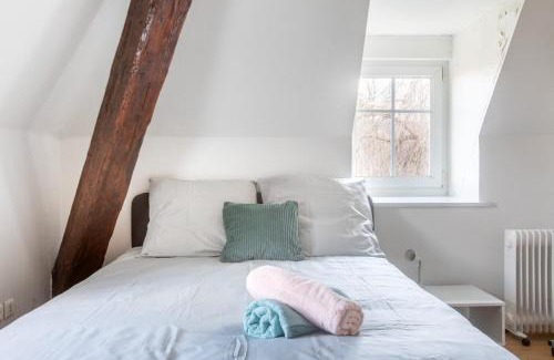 Mulhouse Apartment | Exceptionnels Studio, Maison de Maître, Parking Gratuit sur Place, MULHOUSE CENTRE