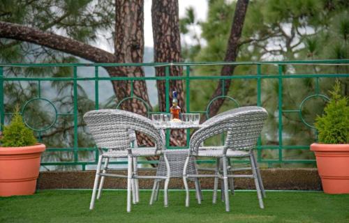 Dharampur Apartment | Exotic Stays I Mountain Mist Inn l Family Groups I Helpfull Staff I Open Air Lawn & Rooftop I Pet friendly & Serviced Apts I Kasauli