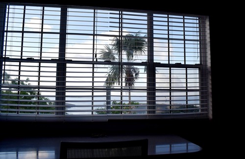 Altona Apartment | Experience Stunning Views and Modern Amenities in Downtown Loft Studio