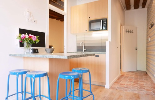 Latin Apartment | Exquisite 2 Bedrooms Apt In The Center Of Latin Quarter : Best Deal For 6