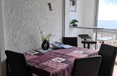 Mediterranee Apartment | Face à la Mer Pour 4pers, Wifi Bbox, Parking Privé, Loggia vue sur le Canigou