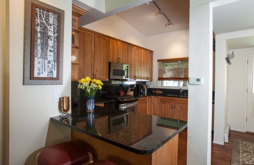 Snowmass Village Condo | FALL COLORS ARE HERE! Charming 2BR/1Bth on the River-Close to Aspen/Snowmass