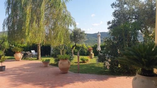 Scandicci House | Family and view
