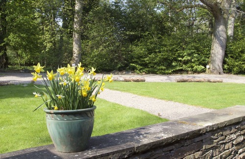 Letham Grange Cottage | Family Cottage in the heart of woodlands sleeping 7 in 3 bedrooms plus zed bed