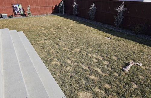 Windsor House | Family friendly home in wonderful neighborhood