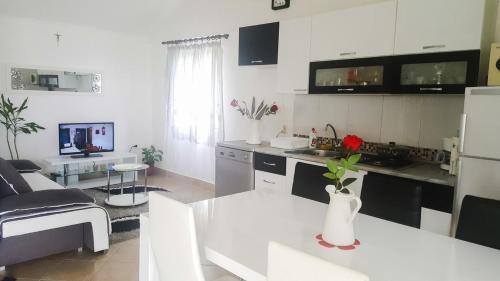 Milna (Brac) House | Family friendly house with a swimming pool Cove Koramaslinova - Koromaslinova, Brac - 15479