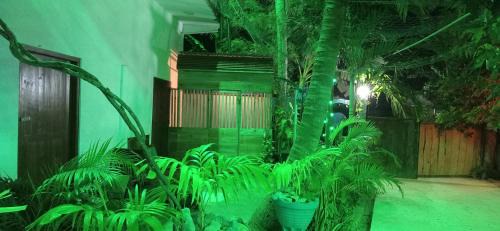 Nilaveli House | Family villa Nilaveli