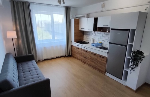 Timisoara Apartment | Fanea Residence