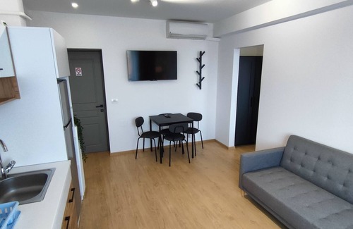 Timisoara Apartment | Fanea Residence