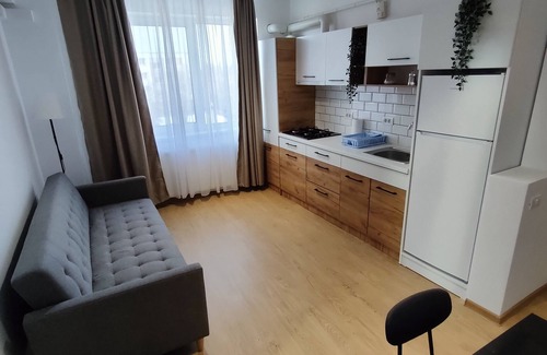 Timisoara Apartment | Fanea Residence