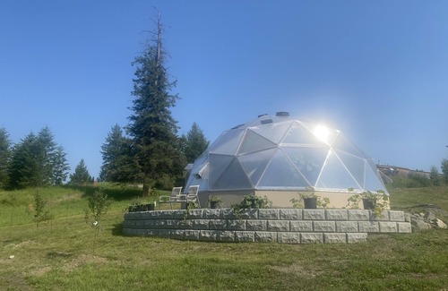 Canim Lake Cabin | Farm Stay in Bear Cabin at beautiful Kayanara - NEW