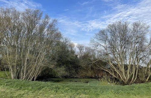 Chichester House | Farmhouse Holiday Lodge, near West Wittering beach, Chichester & Goodwood