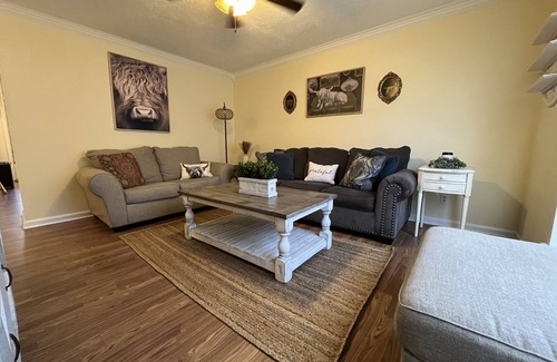 Westlake House | Farmhouse-ish Cajun Cottage