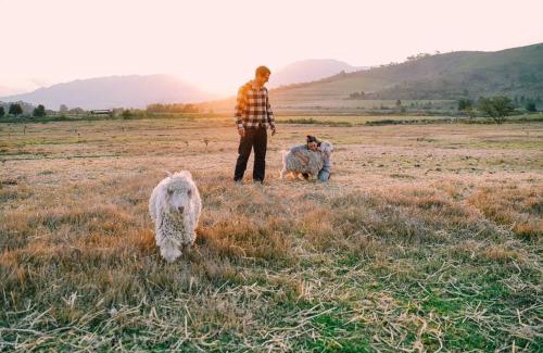 Theewaterskloof House | Farmstay at the Goat Shed Cottage, Spinlea Farm