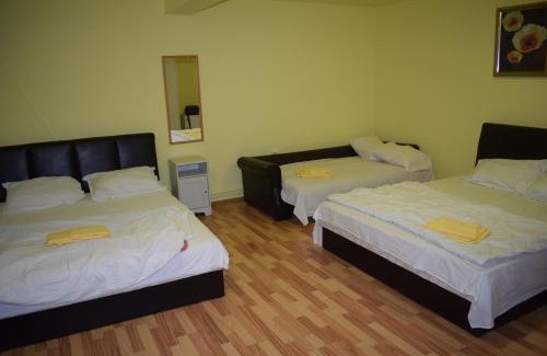 Rosiorii de Vede Hotel | Fata verde - La Padure