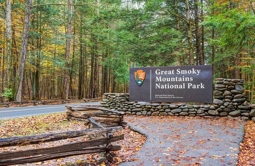 Gatlinburg - Pigeon Forge Cabin | Fawn Cabin by Jackson Mountain Rentals
