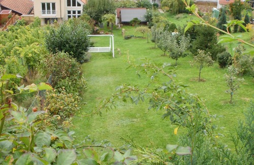 Maikammer Apartment | Ferienapartment in Ruhiger Lage