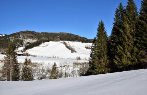 Turnau House | Ferienhaus Dirnbacher Hütte