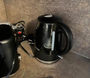 Lobervorstadt Apartment | Ferienhaus in Erfurt-gemütlich-sonnig-Küche-Bad-Garten-Parken-Pool-Sauna-WLAN-CaroGrün
