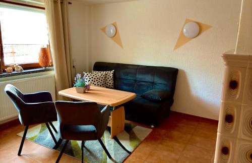 Hammerunterwiesenthal House | Ferienhaus Reichel