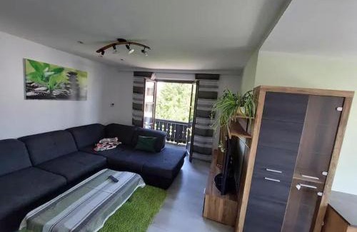 Gmunden Apartment | Ferienhaus Traunseestadt