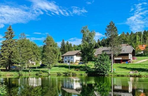 Herrischried Apartment | Ferienwohnung "Am Skilift"