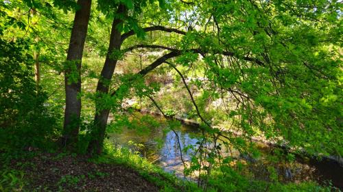 Pirna Apartment | Ferienwohnung An der Seidewitz