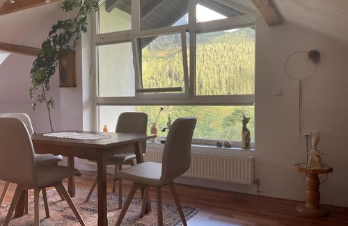 Radmer Apartment | Ferienwohnung Dallinger