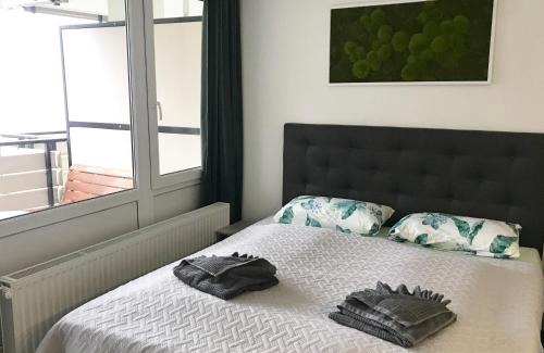 Sankt Englmar Apartment | Ferienwohnung Bayerwald-Blick, Schwimmbad, Sauna