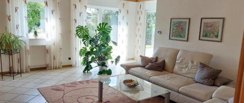 Rheinzabern Apartment | Ferienwohnung Catus